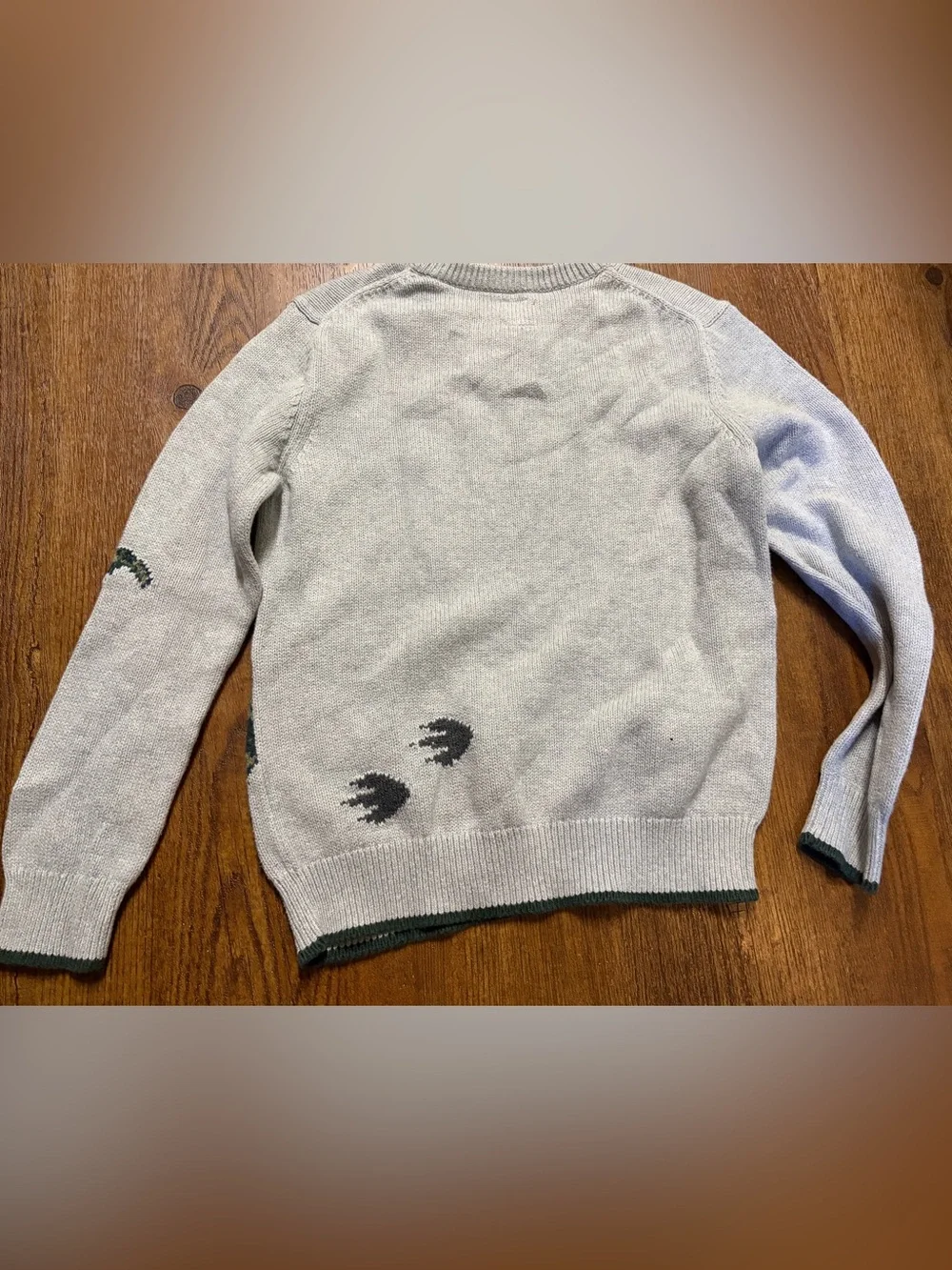 Gap Dinosaur Sweater
